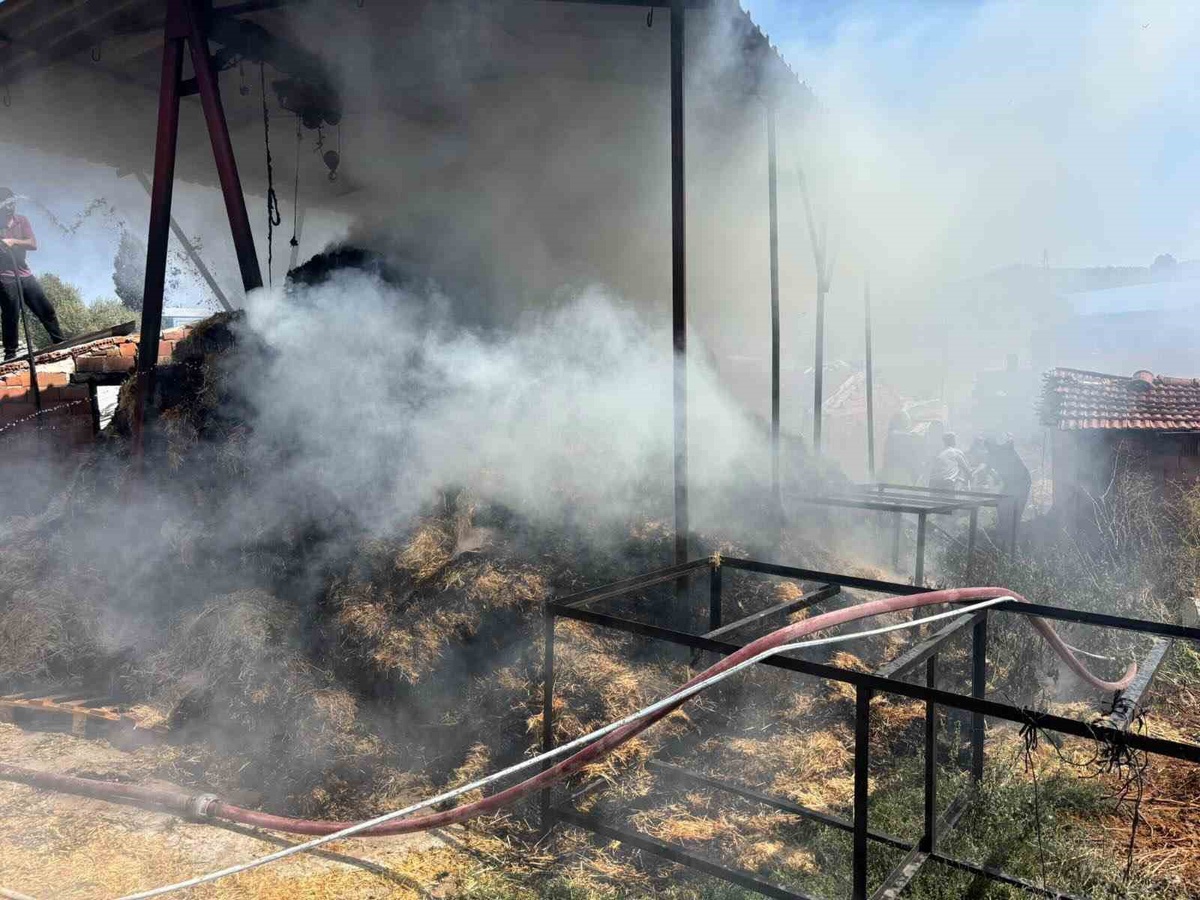 Bozüyük\'te İçköy ve Düzağaç köylerinde saman balyaları yandı, can kaybı olmadı