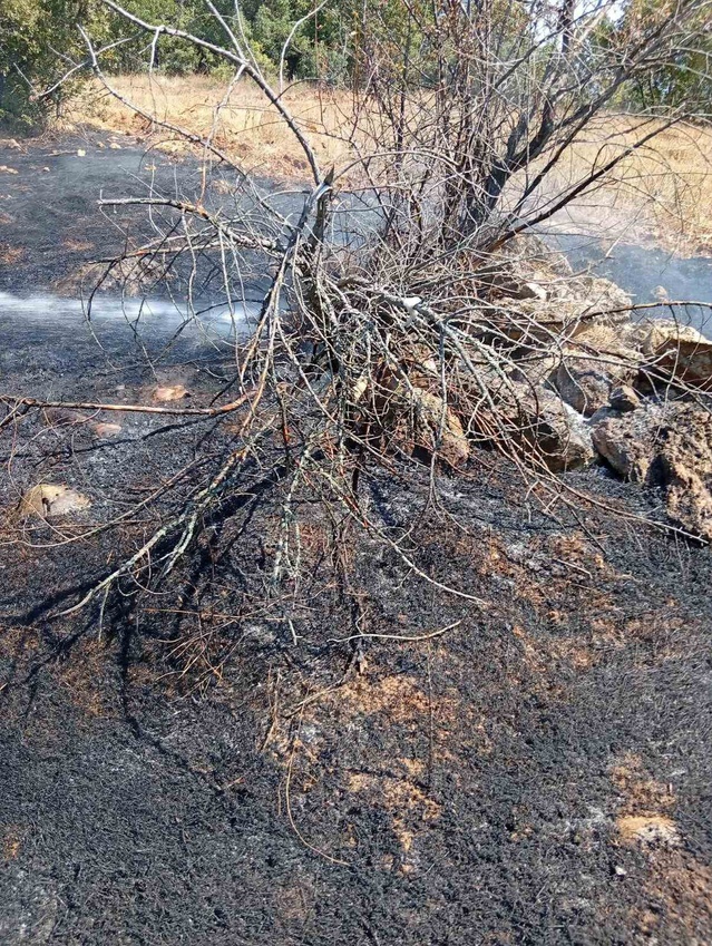 Bilecik Gölpazarı'nda köy yakınındaki ot yangını, su tankeriyle söndürüldü