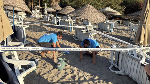 Bodrum'da caretta caretta yuvasından 62 yavru denizle buluştu