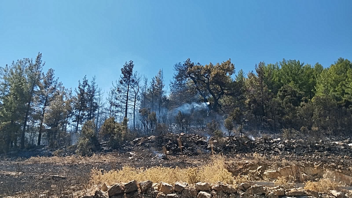 Burdur Bucak\'taki orman yangını bölgesinde Vali Bilgihan incelemelerde bulundu