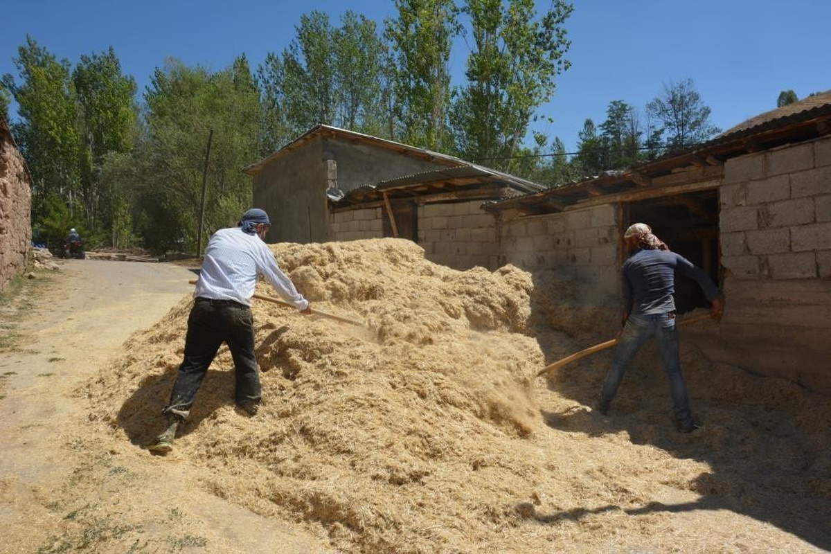 Erzincan Tercan\'da çiftçiler kışlık saman balyalarını çadırlarla koruyor