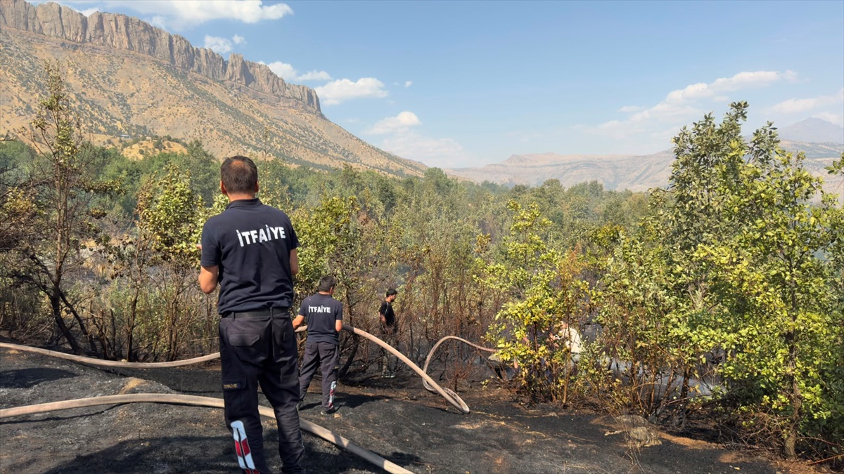 Hakkari Derecik\'te ormanlık alanda çıkan yangın 2 saatte söndürüldü