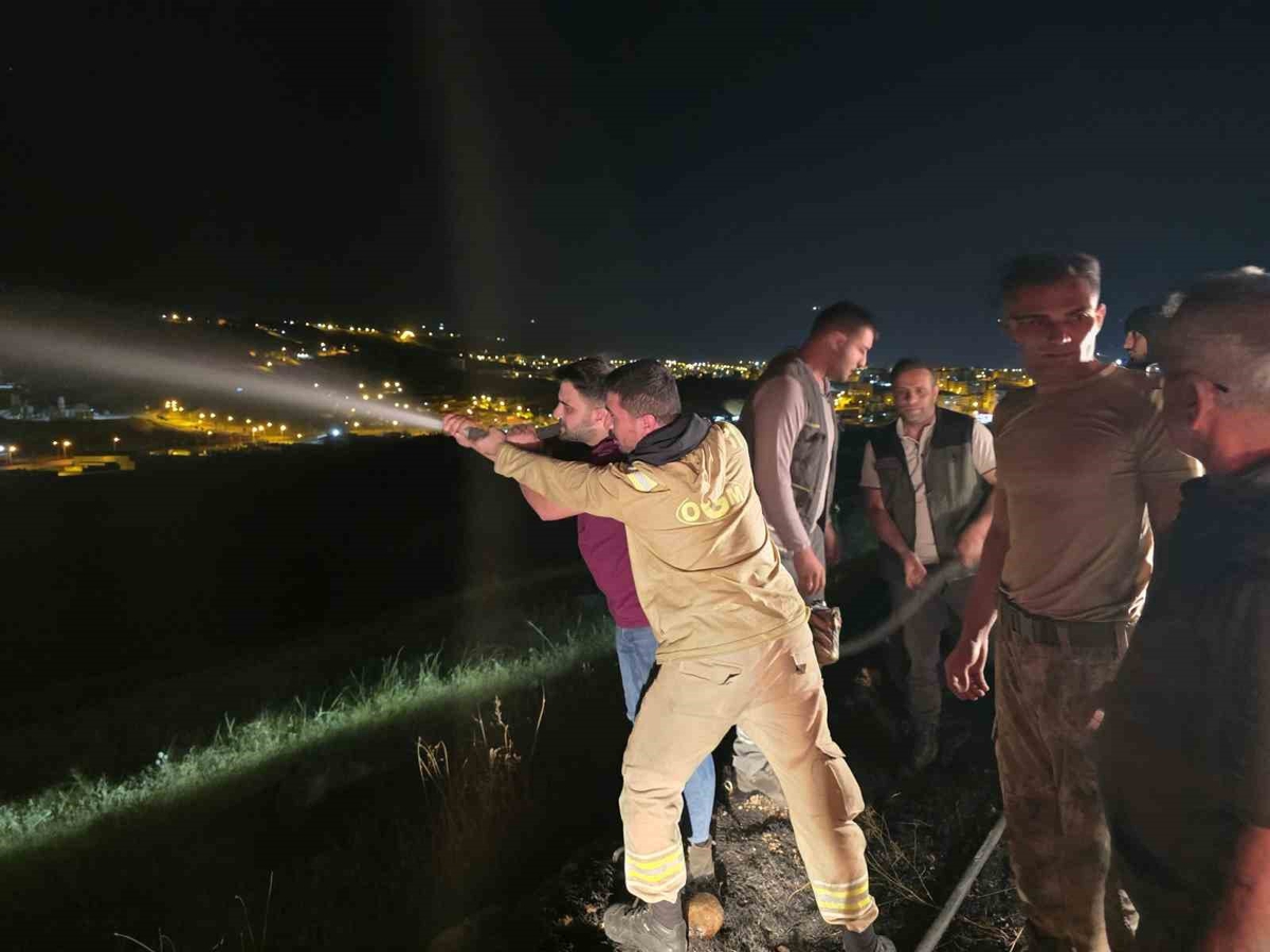 Şırnak İdil\'de örtü yangını köy evlerine sıçramadan söndürüldü, 4 ahır zarar gördü