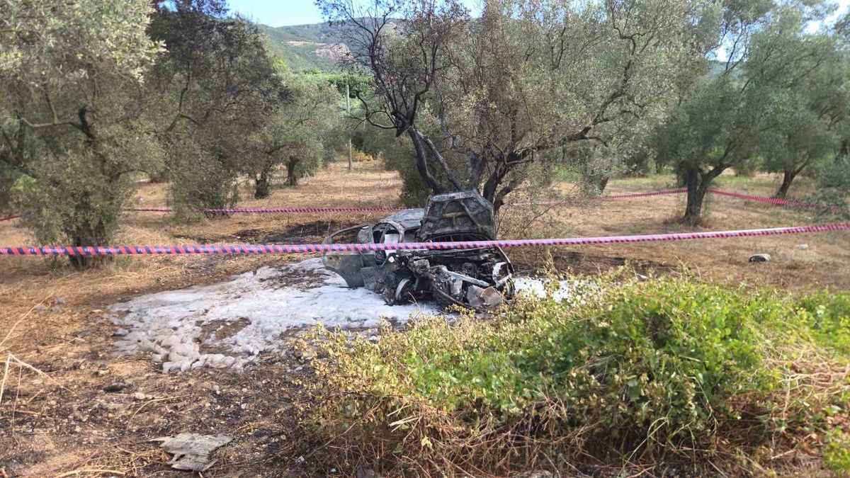 Bursa Orhangazi\'de otomobil zeytinliğe uçtu; 1 kişi yanarak öldü, 5 yaralı