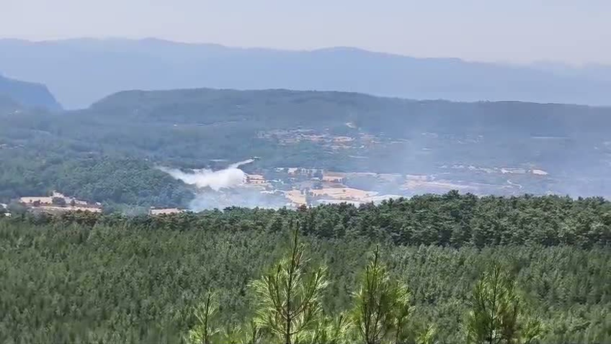 Muğla Menteşe\'de orman yangınının enerjisi büyük ölçüde düşürüldü, söndürme çalışmaları sürüyor