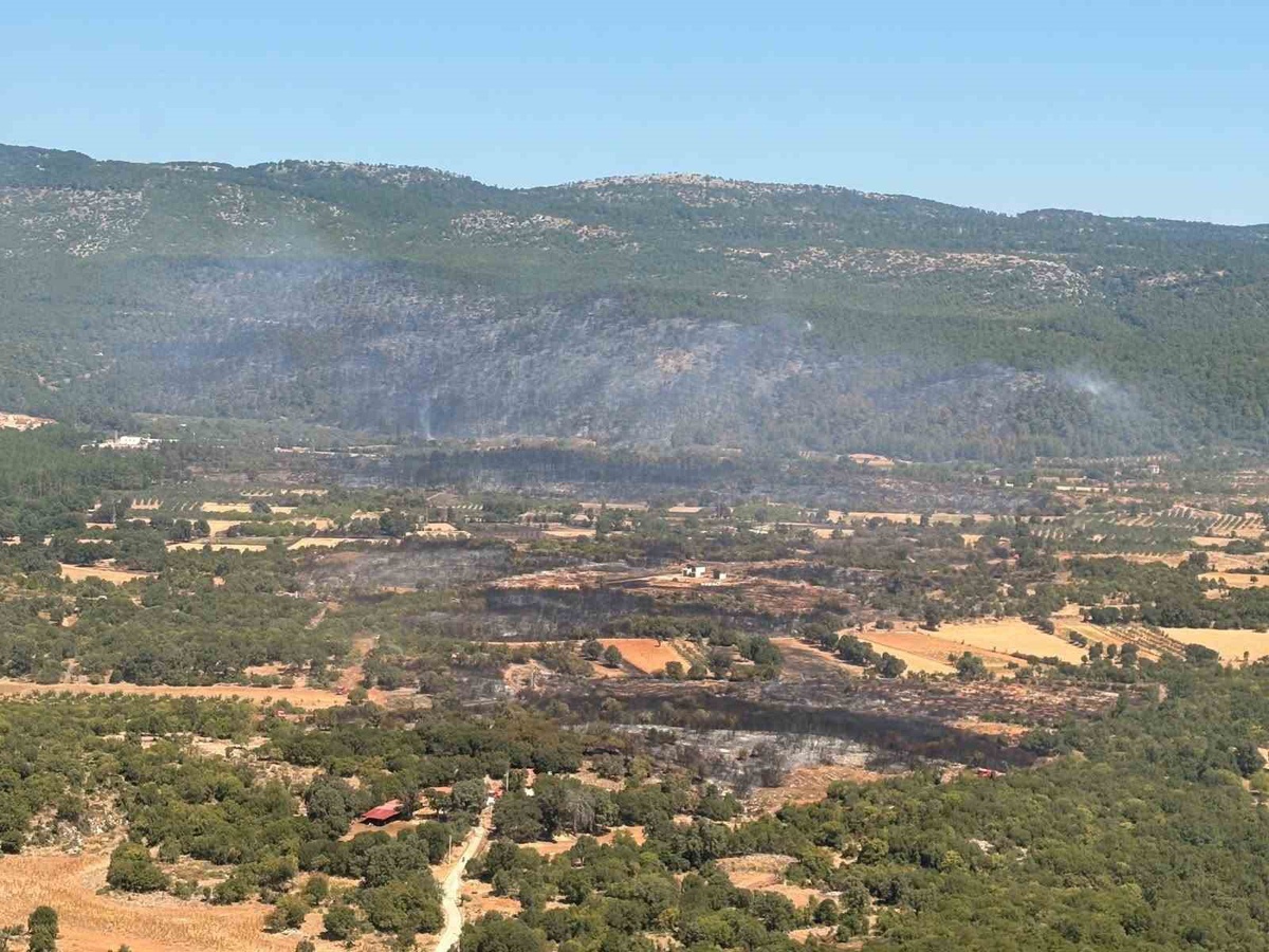 Muğla Menteşe\'de orman yangını kontrol altına alındı