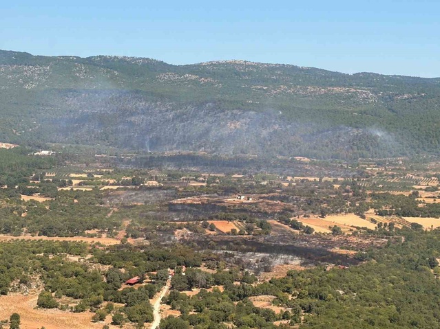Muğla Menteşe'de orman yangını kontrol altına alındı