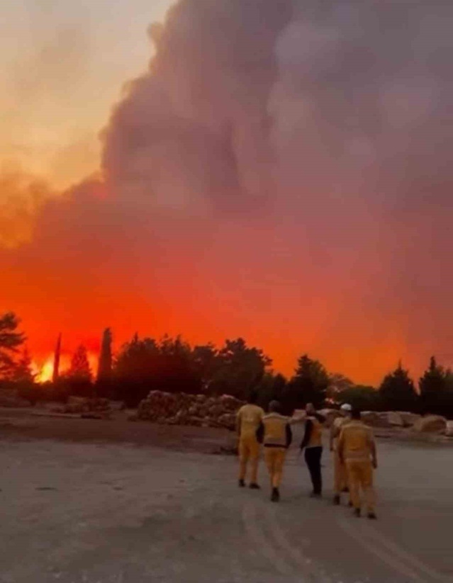 Muğla Menteşe Yaraş'ta orman yangınına havadan ve karadan müdahale sürüyor