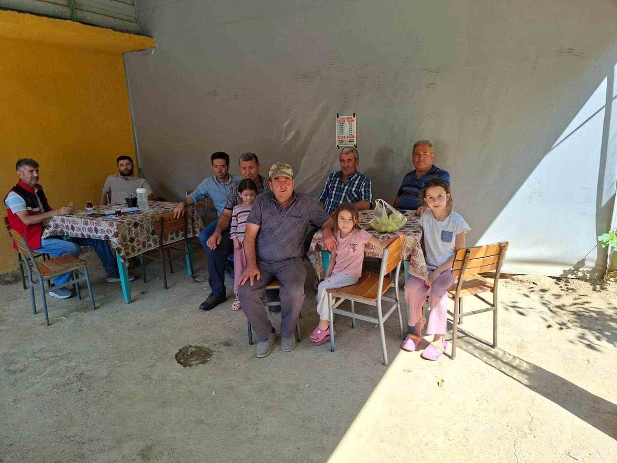 Nazilli\'de üreticilere incir, zeytin ve kestane için hasat eğitimi verildi