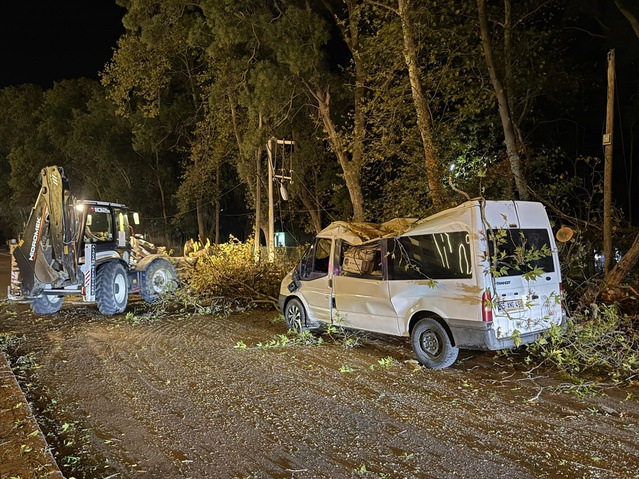 Samsun Alaçam'da rüzgarda devrilen ağaç park halindeki minibüste hasar oluşturdu
