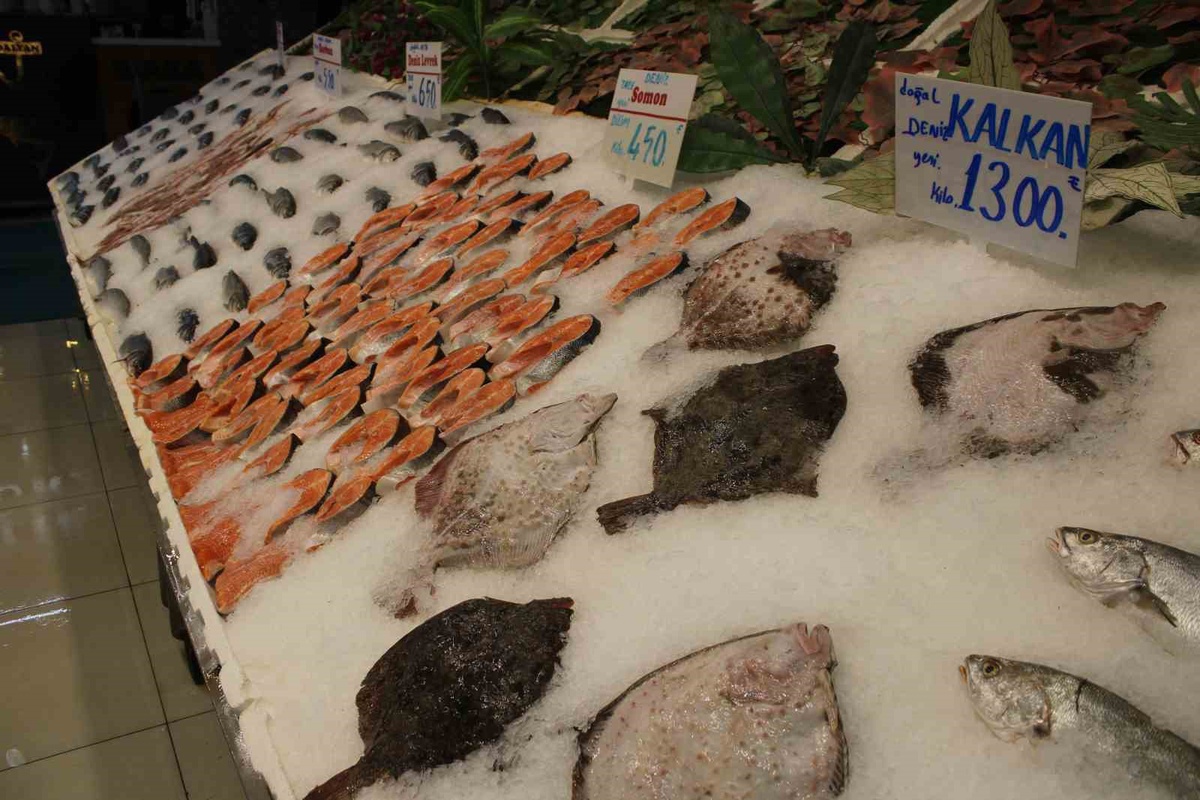 Balık sezonu bol başladı; tezgahlarda palamut ve hamsi 150 TL\'ye satılıyor