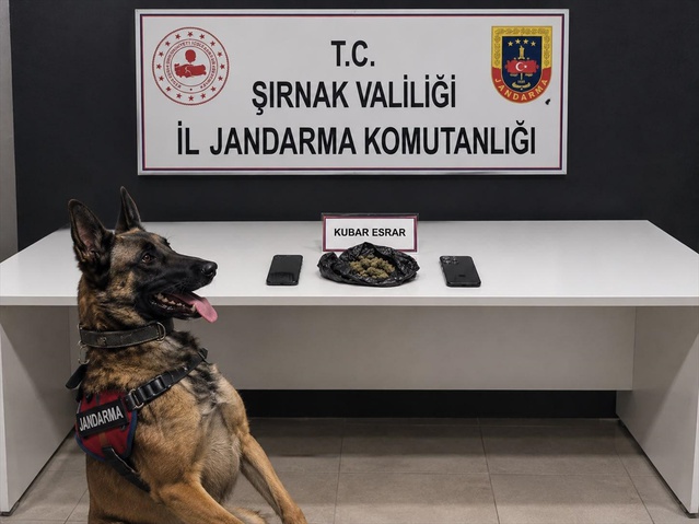 Şırnak'ta kaçakçılık operasyonlarında 196 şüpheli hakkında adli işlem yapıldı