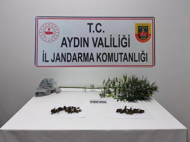 Aydın Söke'de narkotik köpekli operasyonda 1 kök kenevir ve 100 gram esrar bulundu