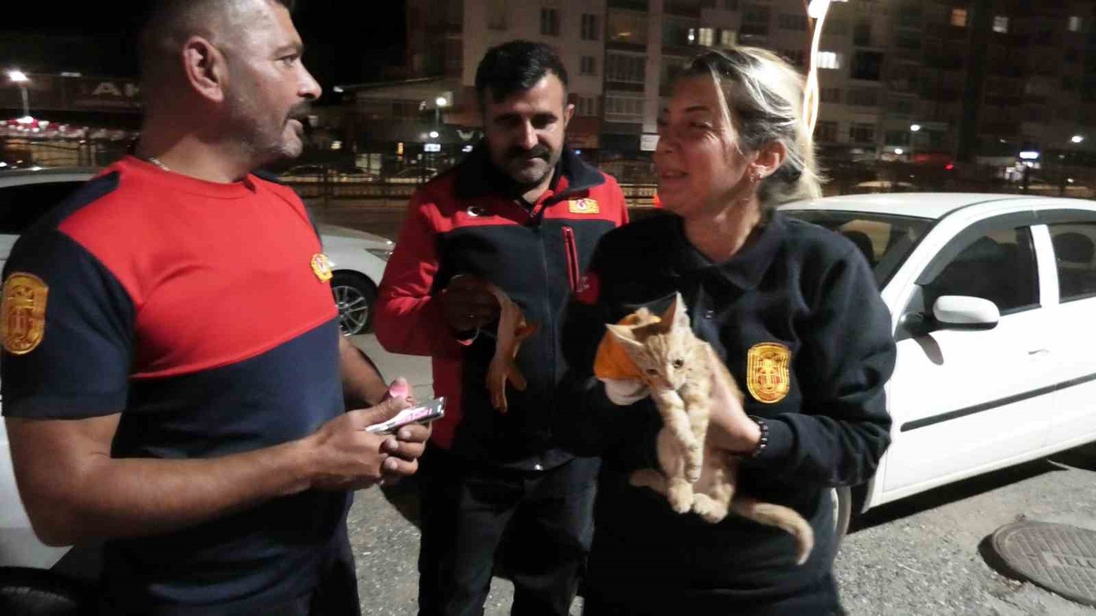 Yozgat\'ta otomobilin motorunda mahsur kalan yavru kediyi itfaiye kurtardı