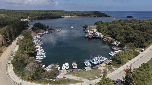 Sinop'un yüzde 70'i orman, havası 'iyi derecede temiz' olarak ölçüldü