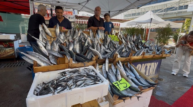 Zonguldak’ta palamut bolluğu yaşanıyor, tanesi 100 liradan tezgahlarda yerini aldı