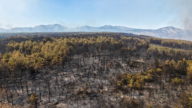 Antalya Aksu'daki orman yangınında 2'si hastanede 8 kişi etkilendi