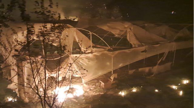 Antalya'da can pazarı: Alevlerin ortasında kalan engelli aile son anda kurtarıldı
