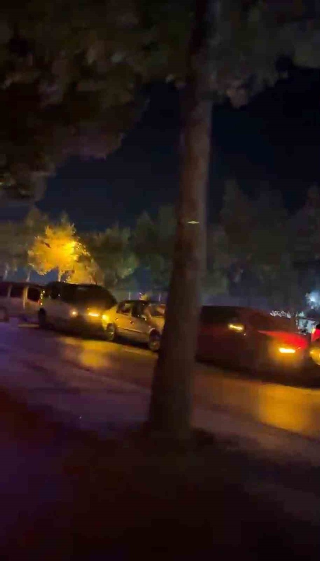 Bolu'da köpeklere çarpmamak için ani fren yapan sürücü 5 araçlık zincirleme kazaya yol açtı