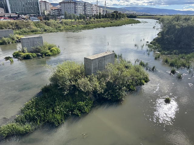 Ardahan'da debisi düşen Kura Nehri Millet Bahçesi çevresinde yosunla kaplandı