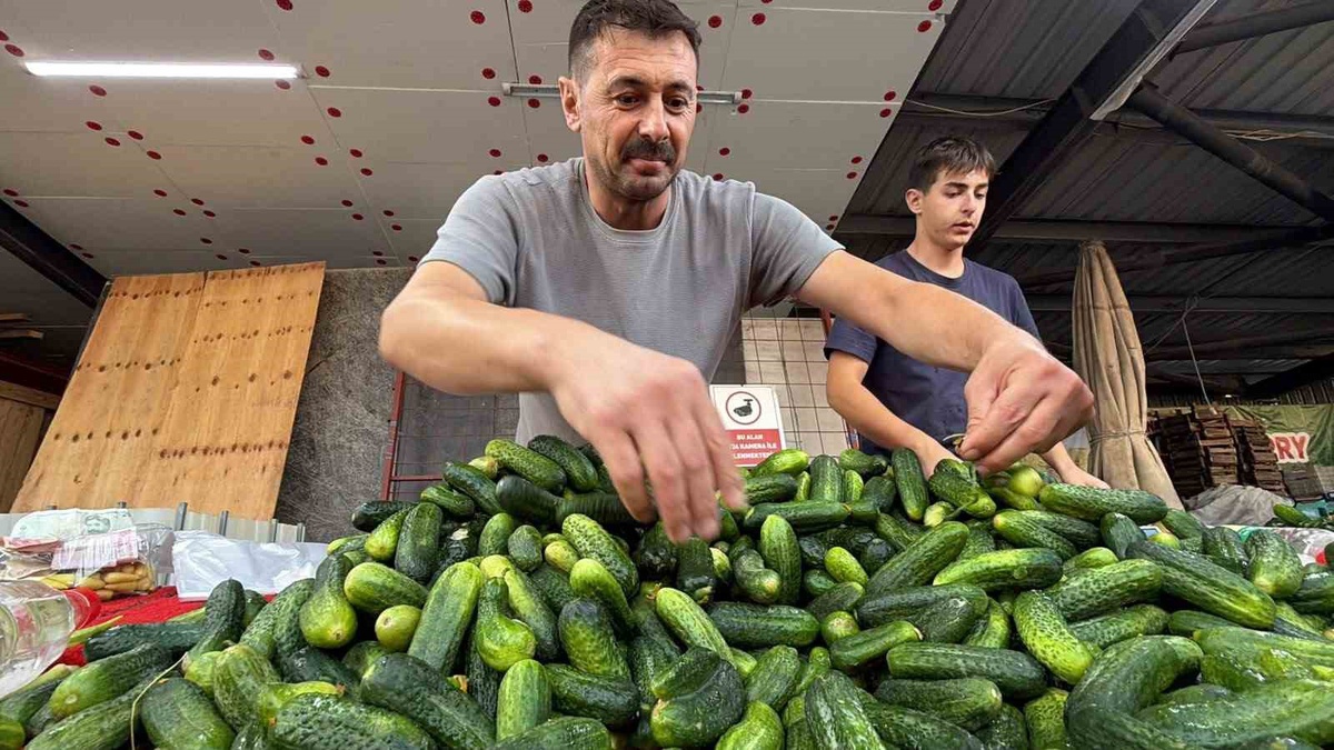 Baba ve oğul, ata mesleği pazarcılığı Bolu\'da dondurucu soğukta yaşatıyor