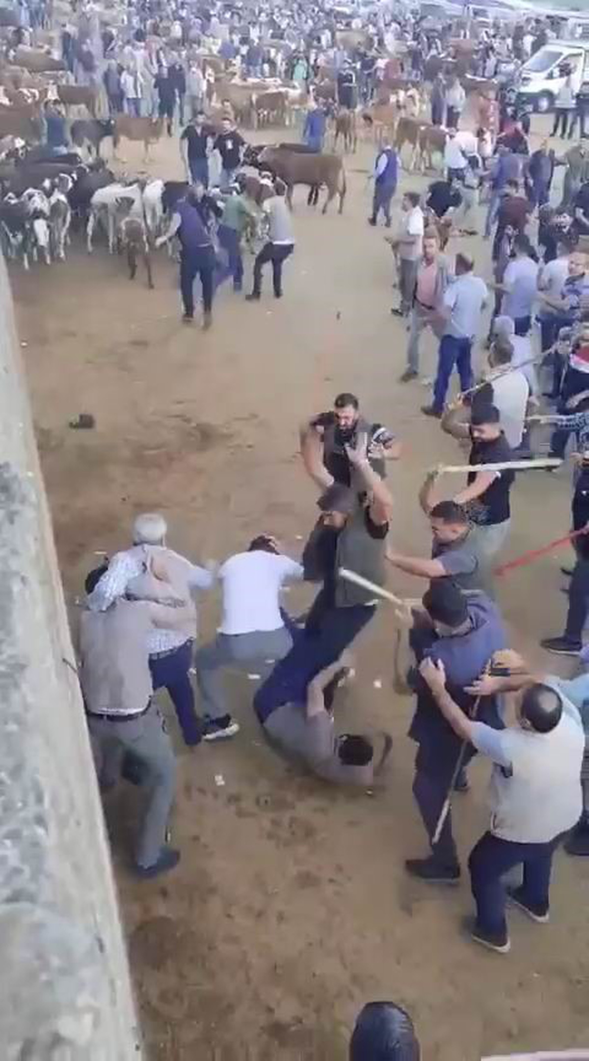 Diyarbakır Canlı Hayvan Borsası\'nda alacak verecek kavgası taşlı sopalı kavgaya dönüştü