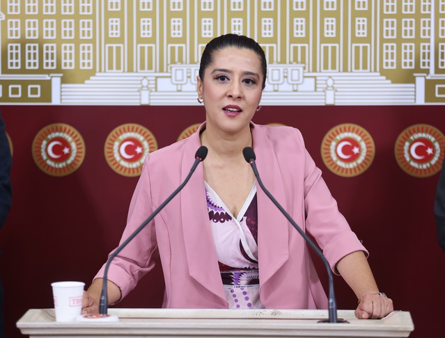 EMEP'li Sevda Karaca, Panelsan'daki işçi direnişini Meclis gündemine taşıdı