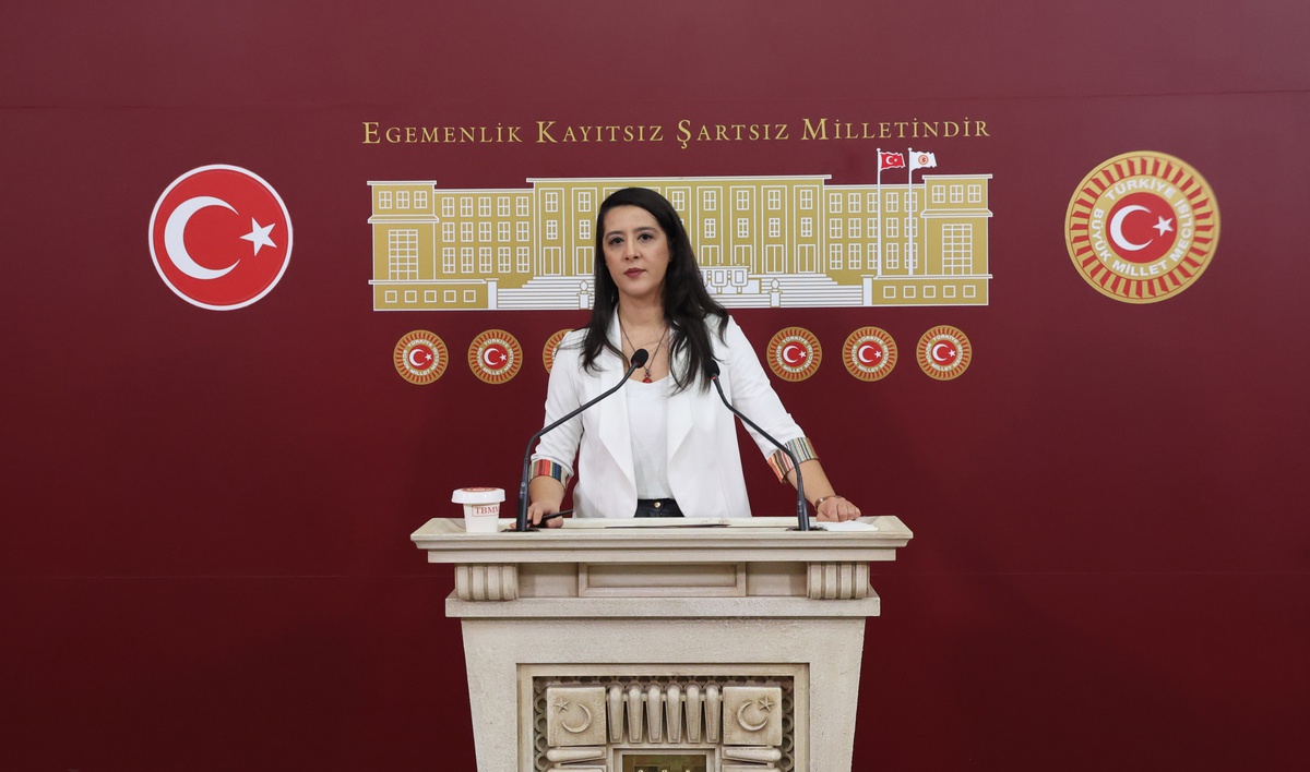 EMEP\'li Karaca, 335 STK\'nın karma eğitim karşıtı kampanyasını TBMM gündemine taşıdı