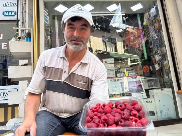 Kütahya Tavşanlı'da üretici, gölet suyuyla kıraç tarlasında aronya yetiştirdi