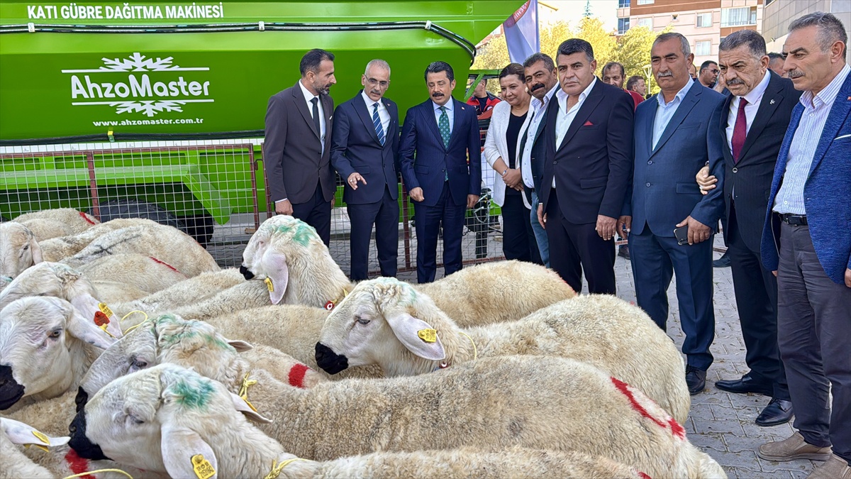 Kırşehir'de törenle 100 koç ve 400 yemlik suluk yüzde 50 hibeyle dağıtıldı