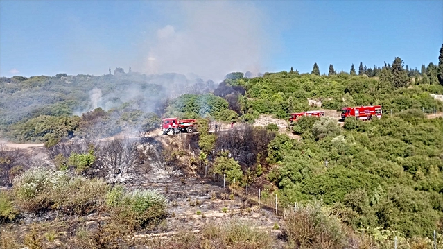 Kocaeli Gebze'de ormanlık alana sıçrayan yangın kontrol altına alındı
