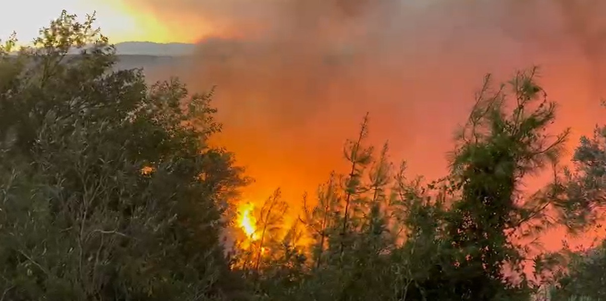 Adana Kozan\'da 2 mahallede orman yangını yerleşim yerlerini boşalttı, yollar kapandı