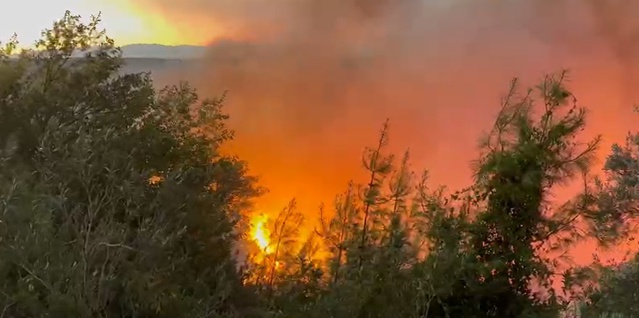 Adana Kozan'da 2 mahallede orman yangını yerleşim yerlerini boşalttı, yollar kapandı