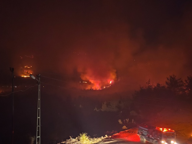 Adana Kozan'da orman yangınına müdahale sürüyor, hava araçları sabah yeniden çalışacak