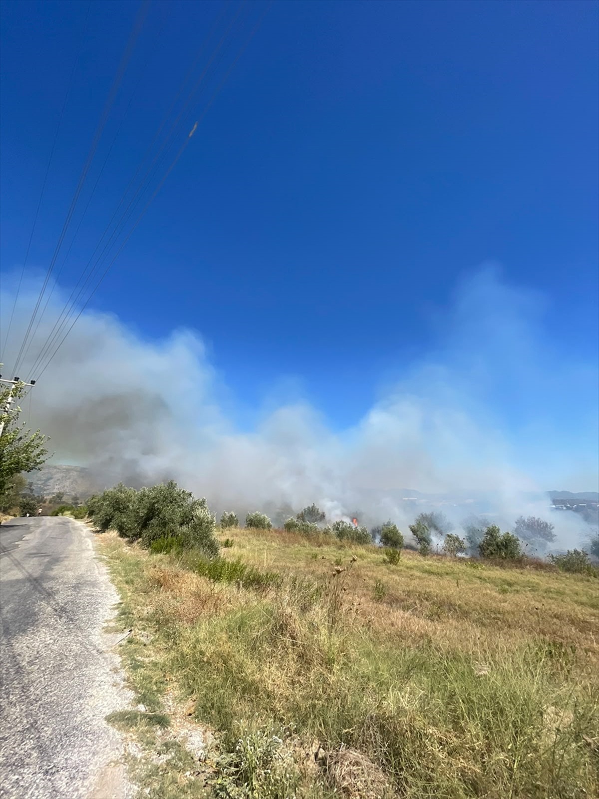 Manavgat\'ta zirai alandaki yangında 5 dönüm arazi ile zeytinlik zarar gördü