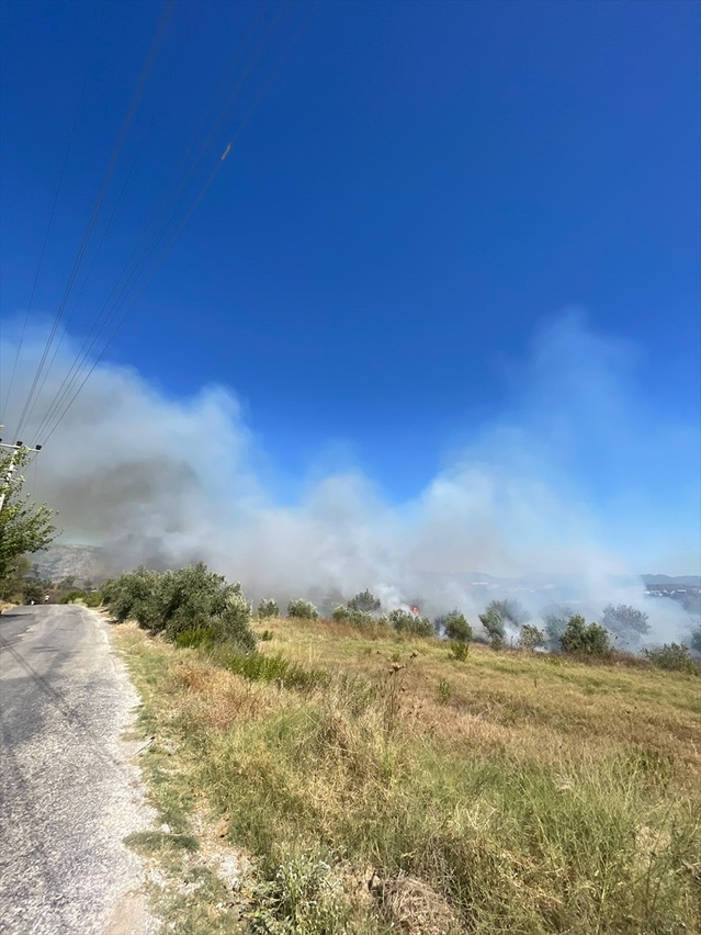 Manavgat'ta zirai alandaki yangında 5 dönüm arazi ile zeytinlik zarar gördü