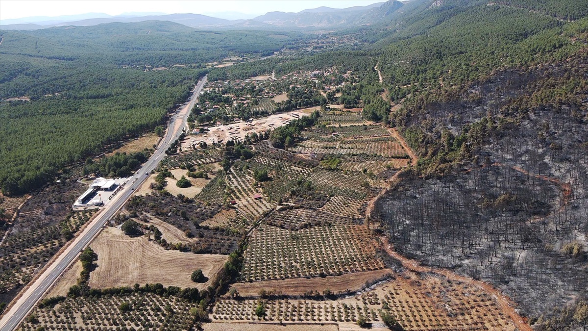 Muğla Menteşe ve Ula\'da orman yangınında zarar gören alan havadan görüntülendi