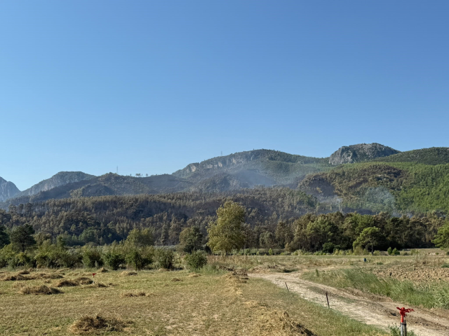 Alevlerle dev mücadele! Orman yangınlarında son durum açıklandı