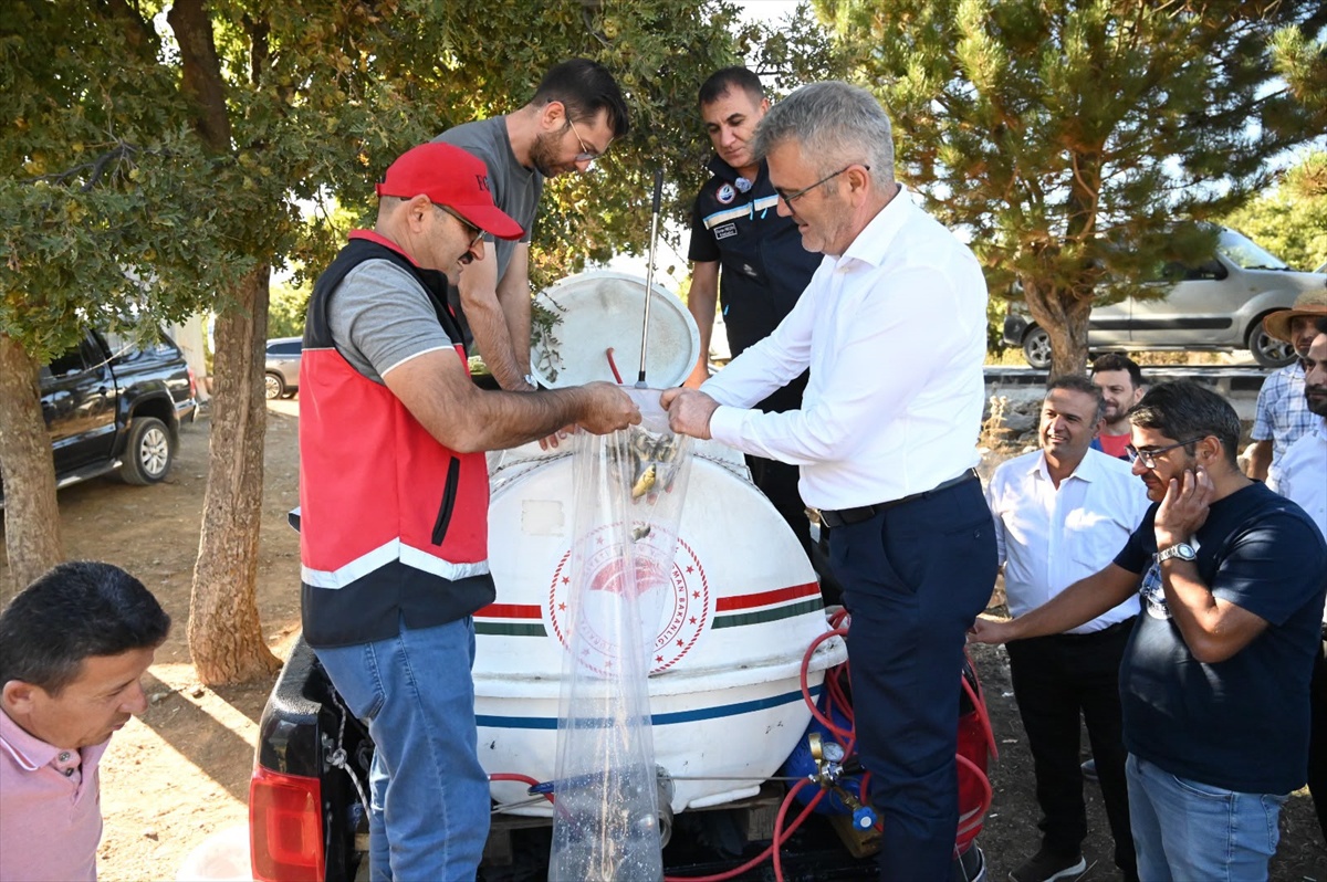 Konya Seydişehir\'deki göletlere 500 bin sazan yavrusu salındı