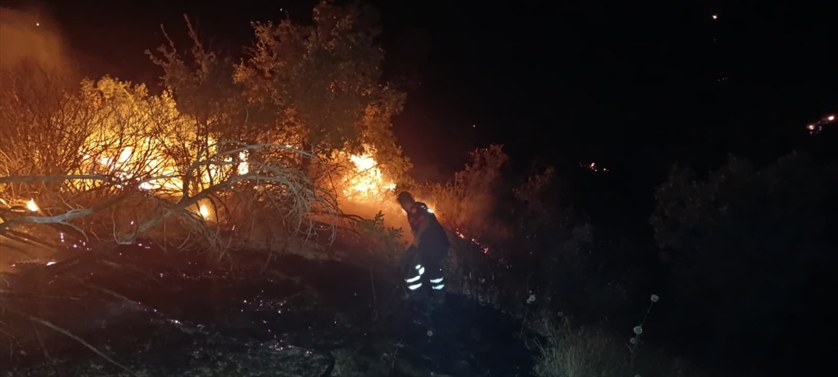 Siirt Baykan'da orman yangını ekiplerin müdahalesiyle söndürüldü