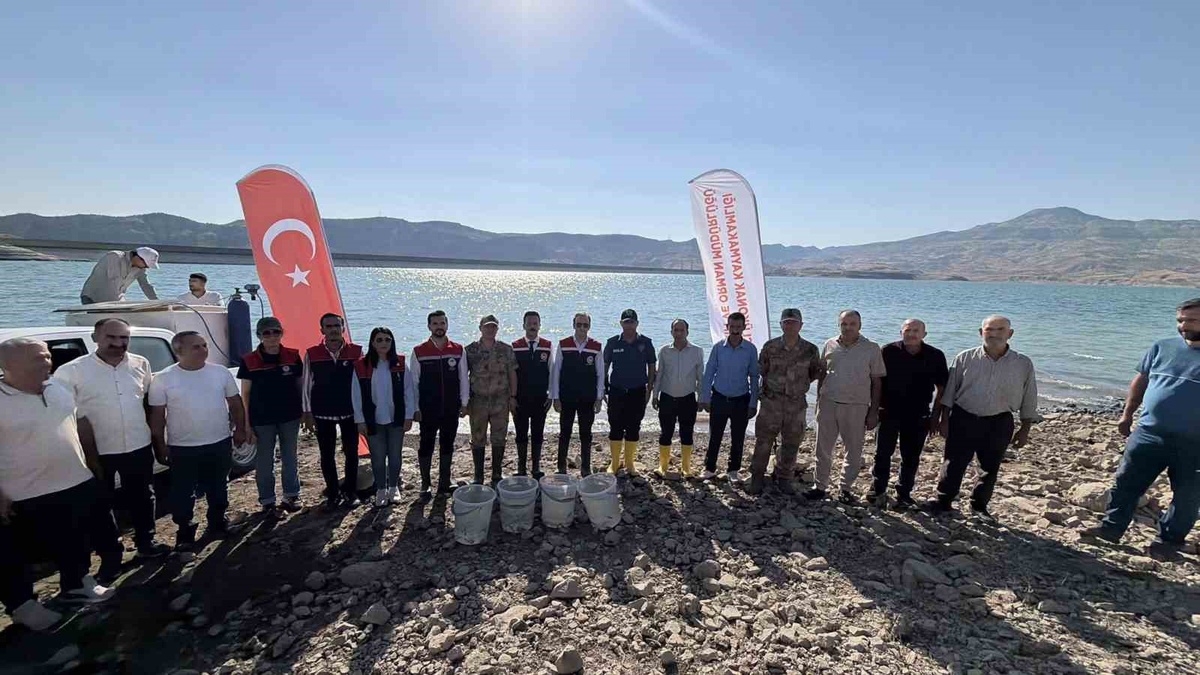 Şırnak Güçlükonak'ta 800 bin yavru şabut balığı Ilısu Baraj Gölü'ne bırakıldı