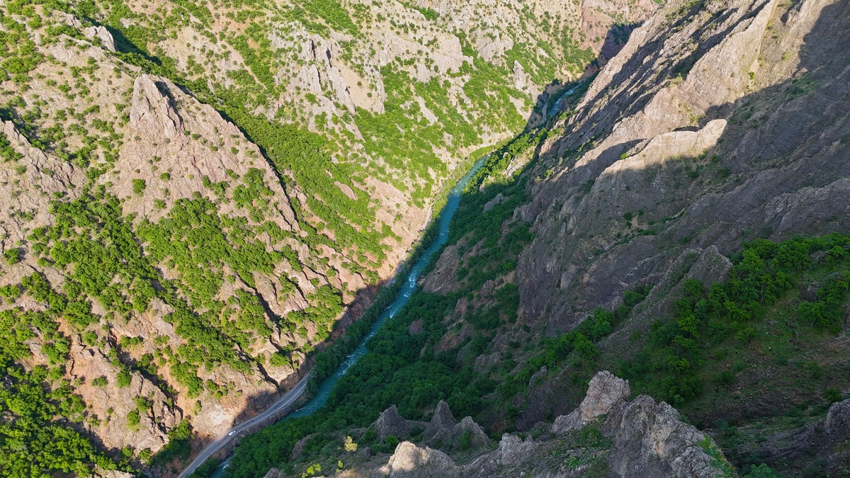 Tunceli\'de endemik dağ sarımsağı söken 3 kişiye 2 milyon lira ceza
