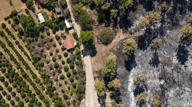 Antalya Aksu'daki orman yangınında jandarma arazözle alevlere müdahale etti