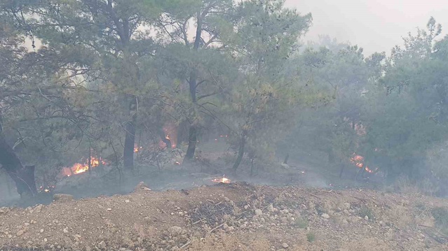 Adana Kozan'da orman yangını yerleşime 2 km yaklaştı, ekipler ilerlemeyi önledi