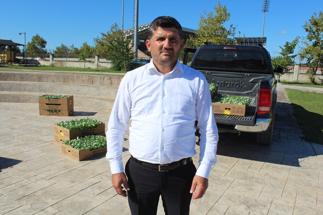 Bafra Ovası'nda çiftçilere kışlık sebze üretimi için 266 bin fide dağıtıldı