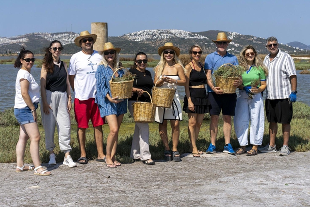 Bodrum’da deniz börülcesi hasadı sofraya taşındı