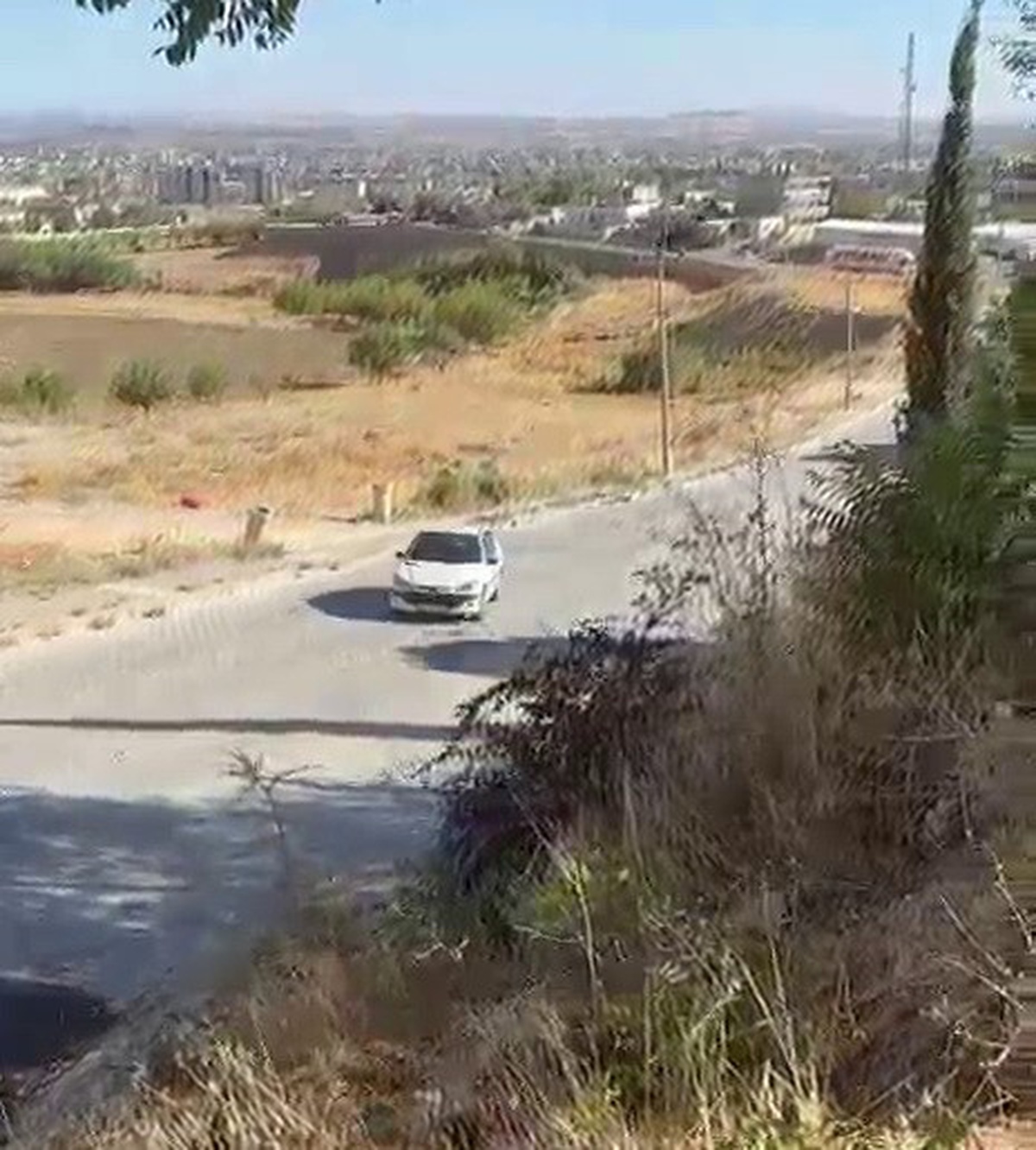 Park halindeki otomobil şarampole yuvarlandı