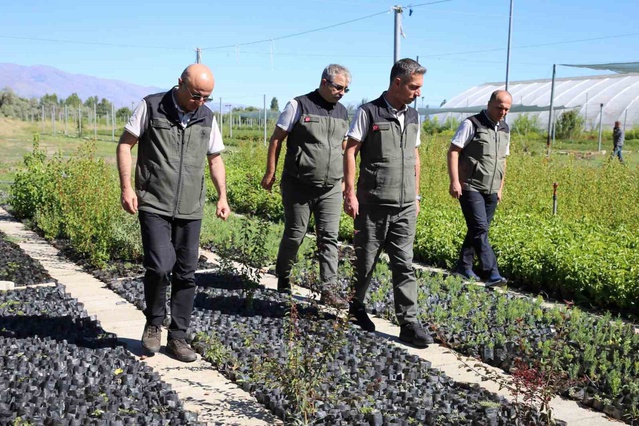 Erzurum Orman Bölge Müdürü Erzincan Fidanlık Şefliğinde 2026 üretim çalışmalarını inceledi