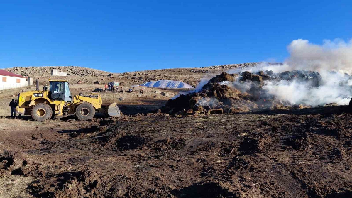 Erzurum Tekman\'da çıkan yangında 4 üreticiye ait 10 bin balya ot kül oldu