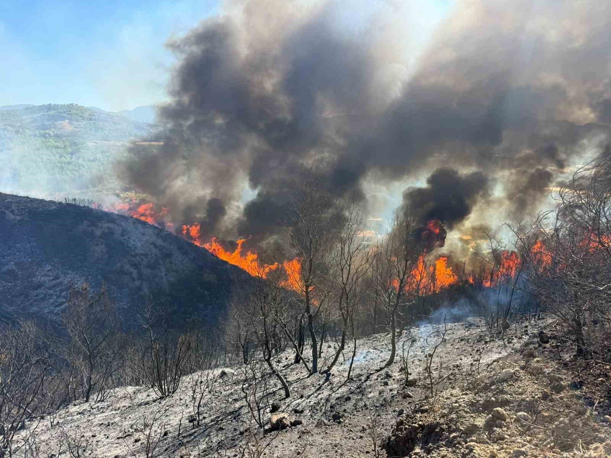Antalya Serik\'teki yangında 12 yaşındaki Fevzi, oğlağını kurtardı